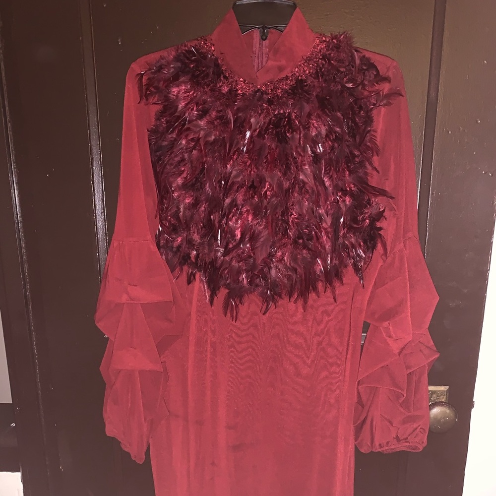 Burgundy dress with feathers!!